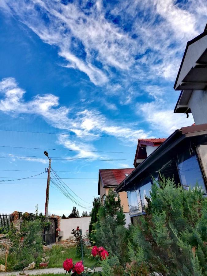 Hotel Casa Alba Năvodari Exteriér fotografie