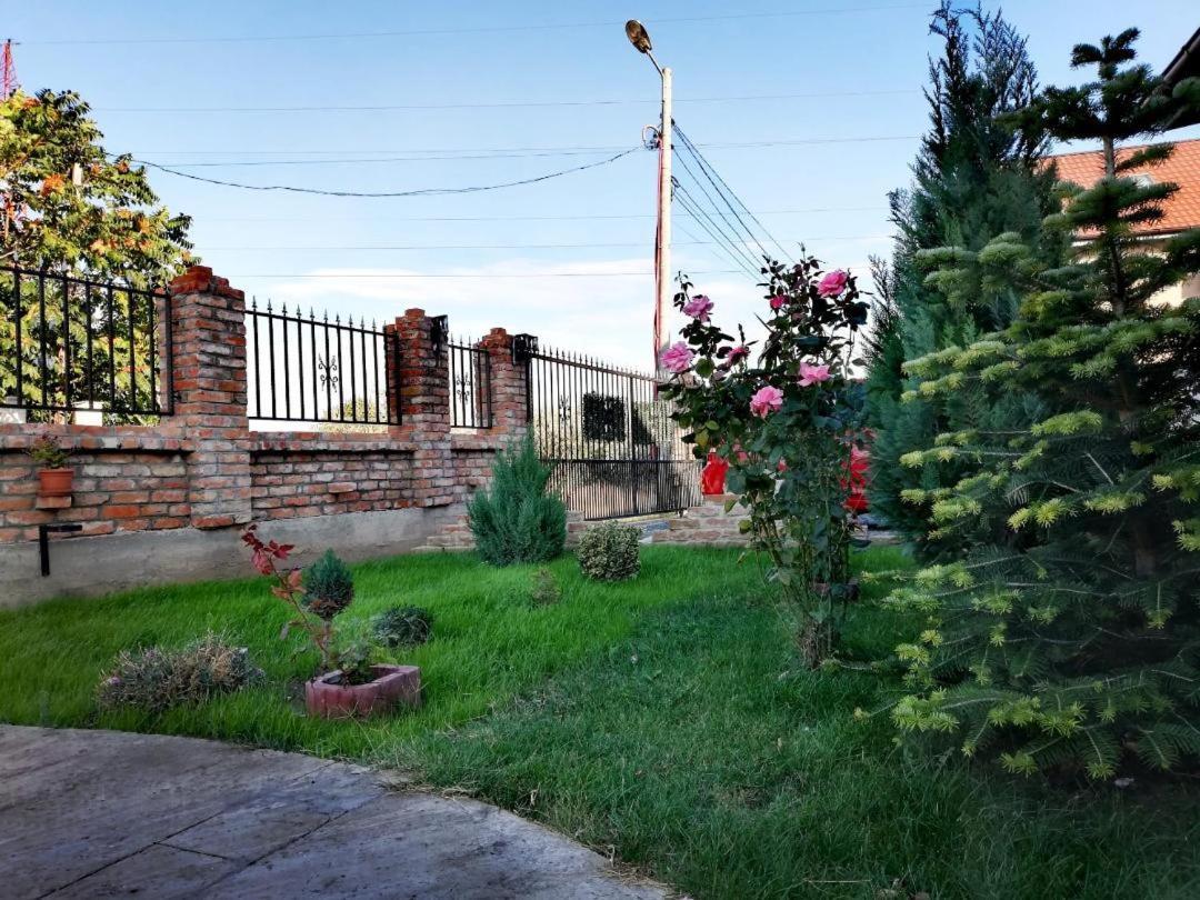 Hotel Casa Alba Năvodari Exteriér fotografie