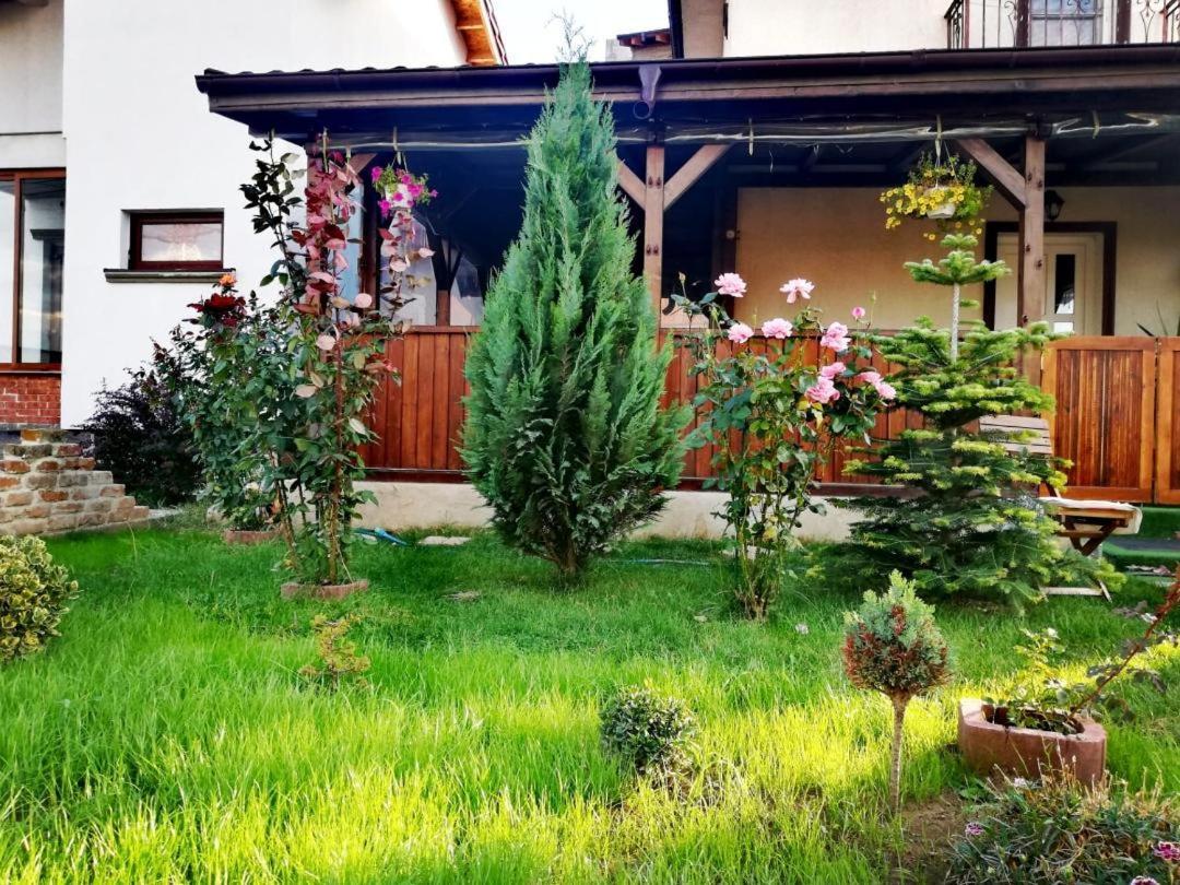 Hotel Casa Alba Năvodari Exteriér fotografie