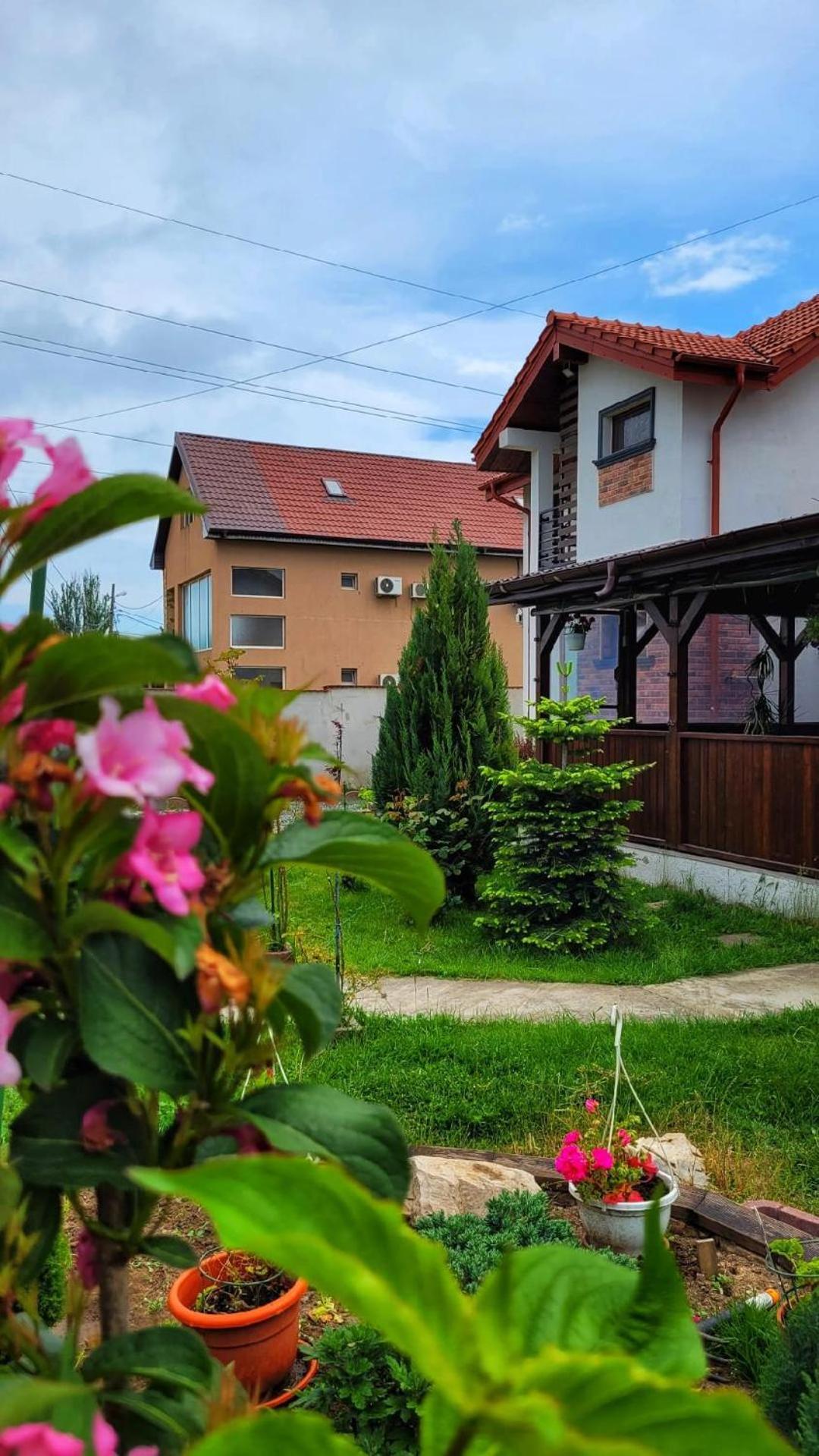 Hotel Casa Alba Năvodari Exteriér fotografie