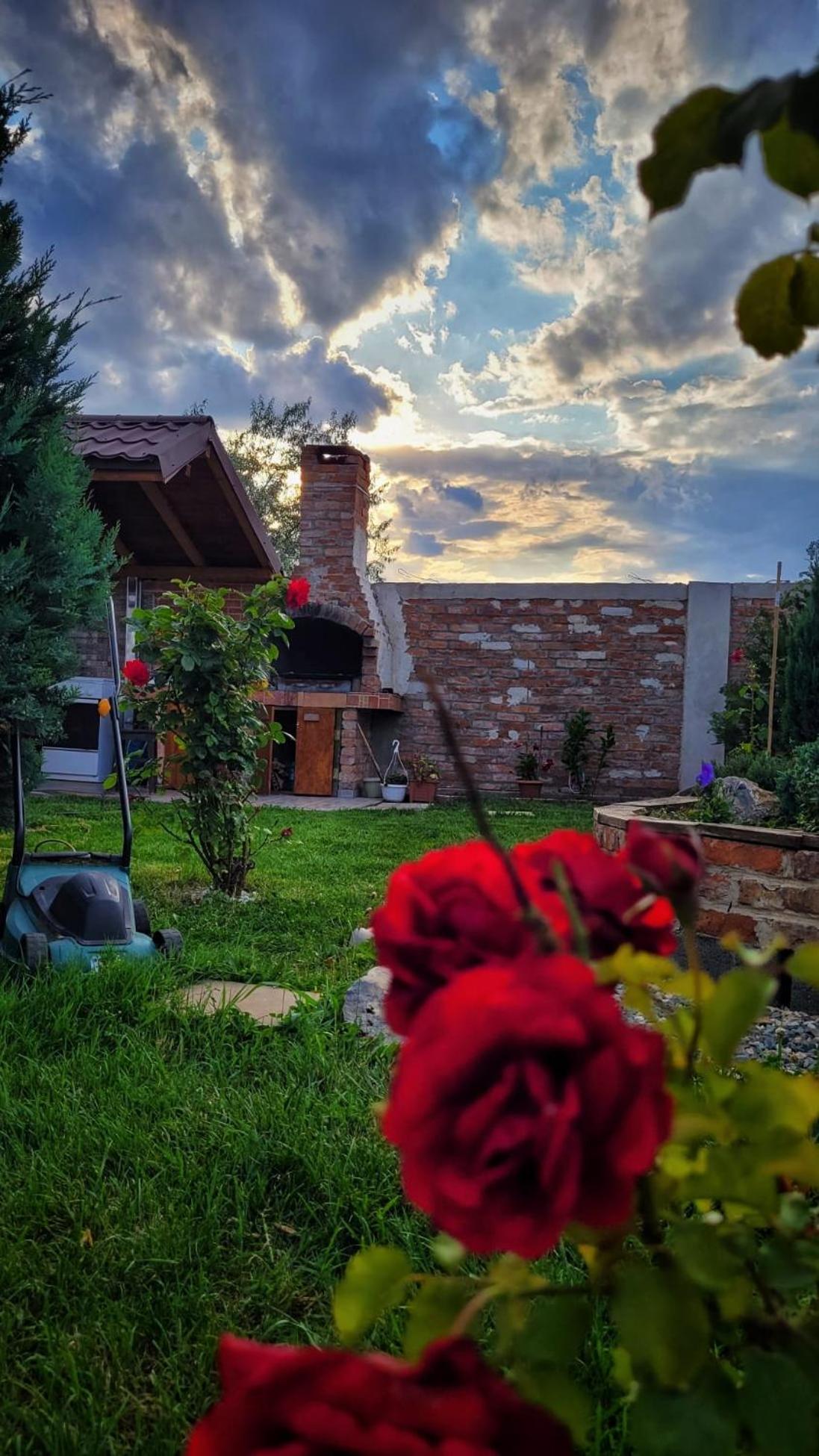 Hotel Casa Alba Năvodari Exteriér fotografie