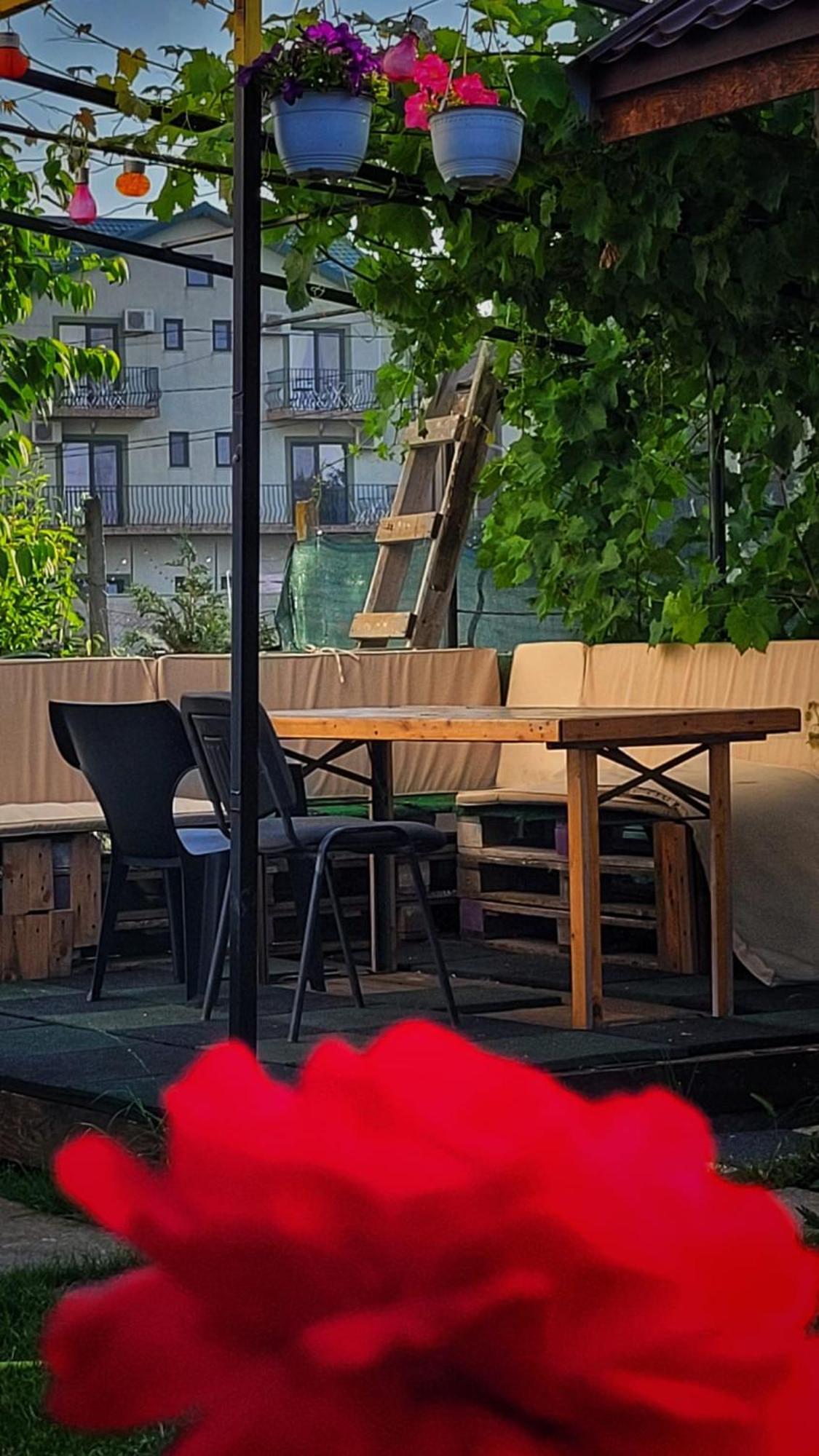 Hotel Casa Alba Năvodari Exteriér fotografie