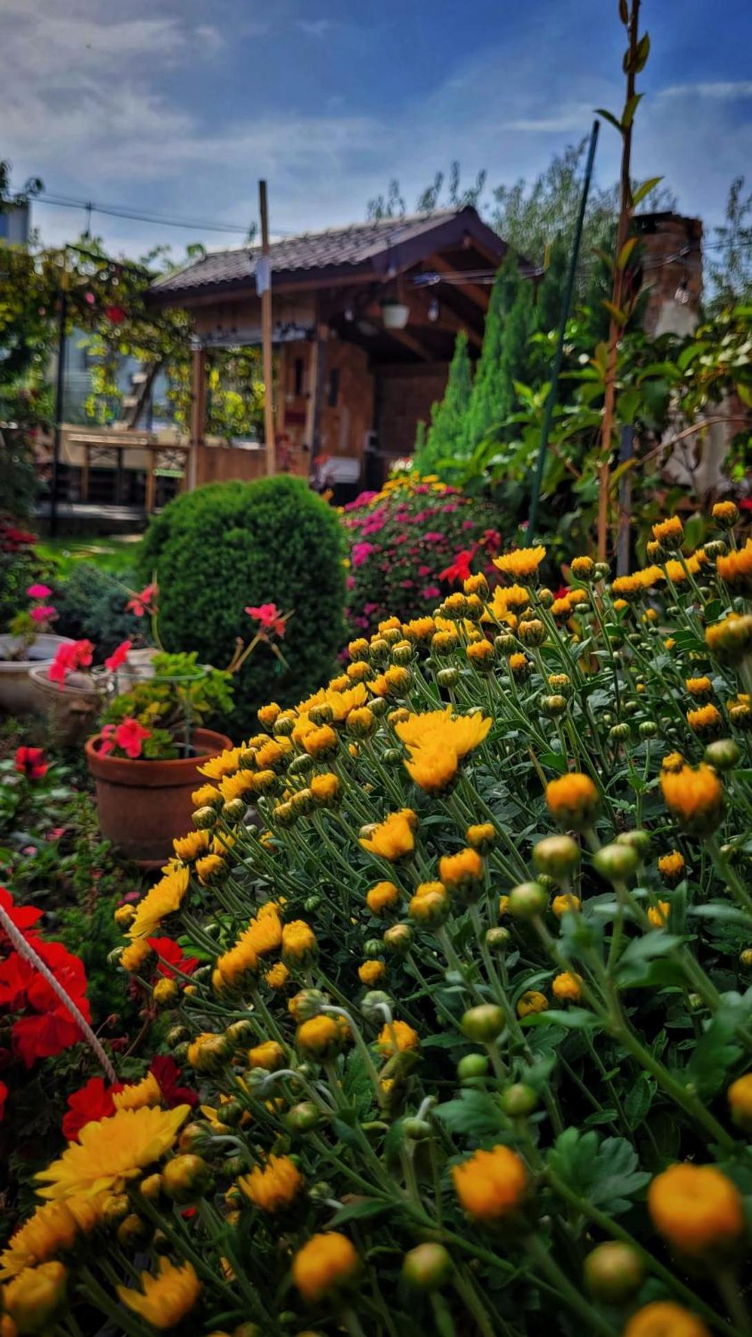 Hotel Casa Alba Năvodari Pokoj fotografie