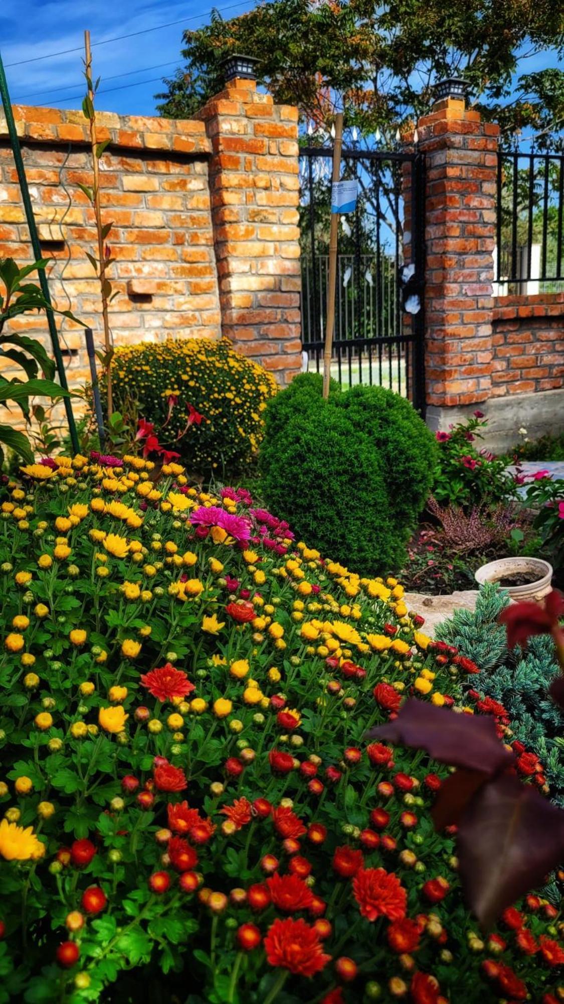 Hotel Casa Alba Năvodari Exteriér fotografie