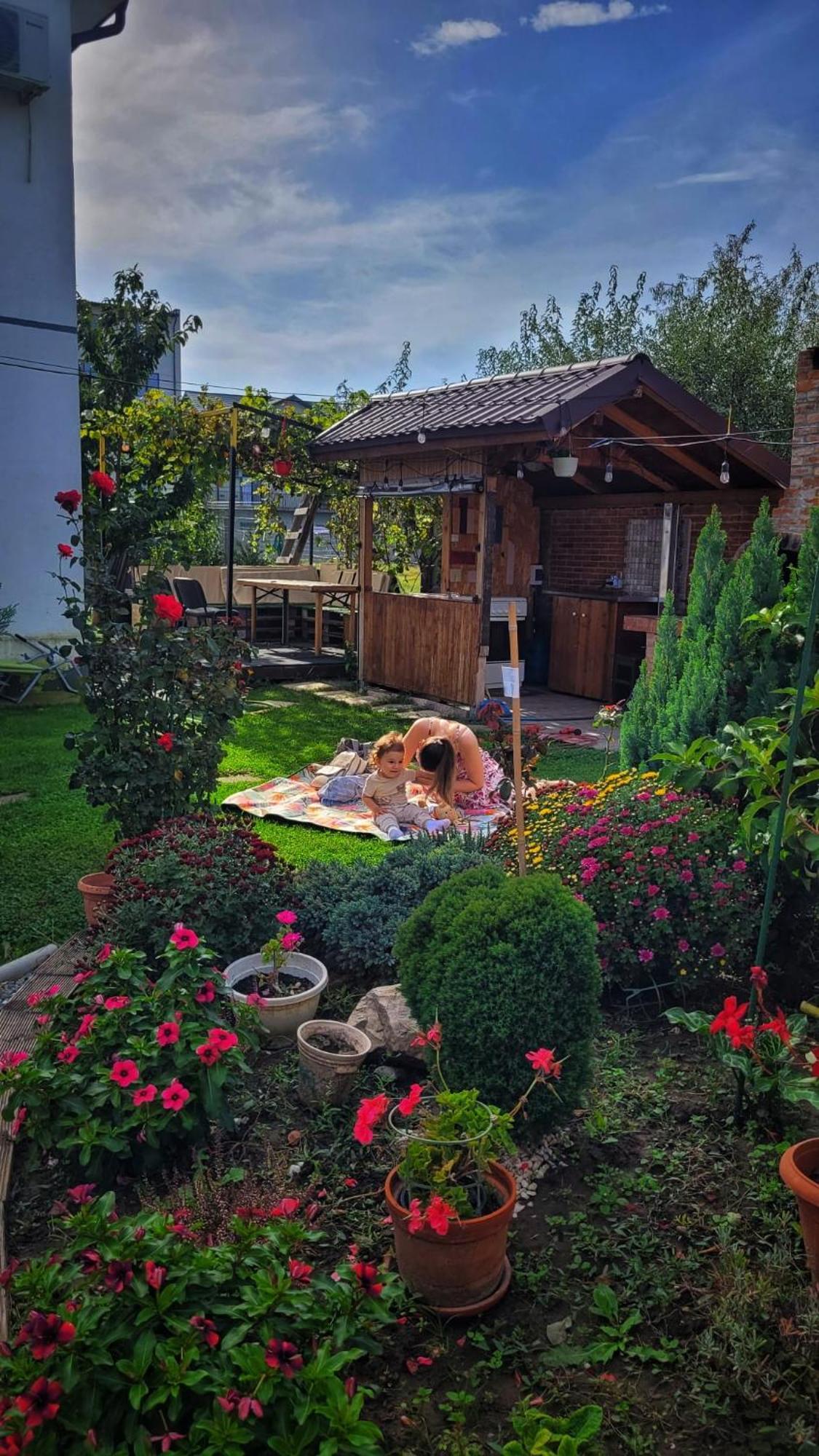 Hotel Casa Alba Năvodari Exteriér fotografie