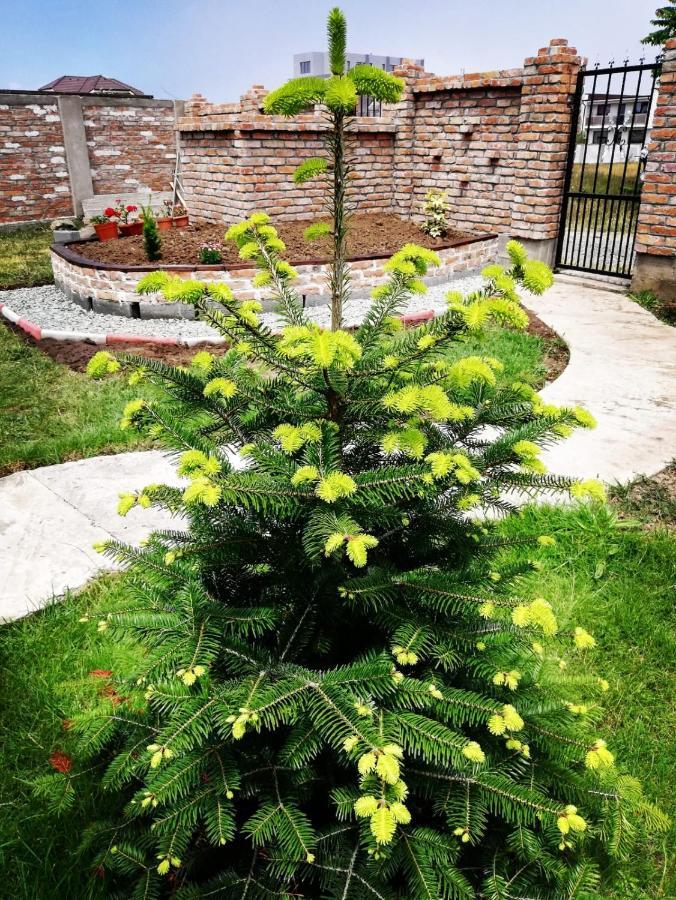 Hotel Casa Alba Năvodari Exteriér fotografie